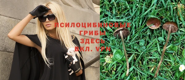 прущий лед Аркадак