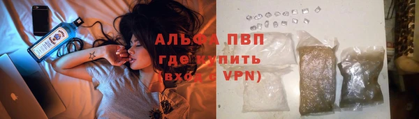 ПСИЛОЦИБИНОВЫЕ ГРИБЫ Новозыбков