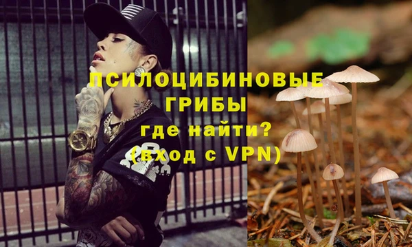 прущий лед Аркадак