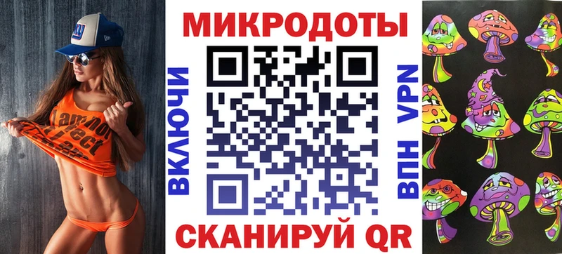 Галлюциногенные грибы Psilocybe  Полесск 