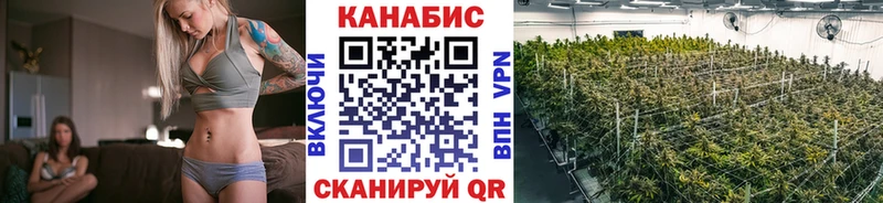OMG маркетплейс  Полесск  Марихуана LSD WEED 